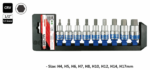 9 Pcs 1/2” Dr. Bit Socket Set